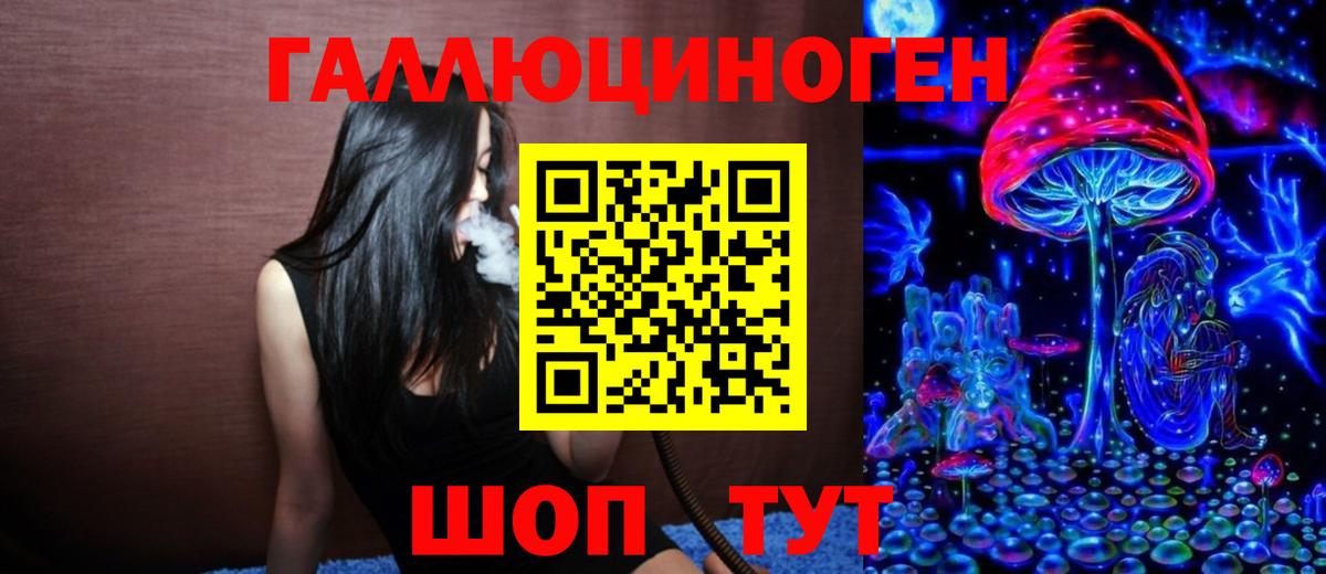 Галлюциногенные грибы Psilocybe Саратов