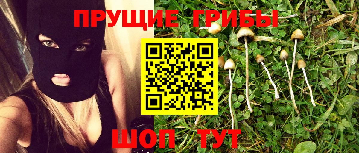 Псилоцибиновые грибы GOLDEN TEACHER  Вход с VPN  Саратов 